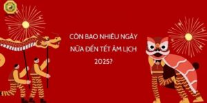 Còn Bao Nhiêu Ngày Nữa Đến Tết Âm Lịch 2025