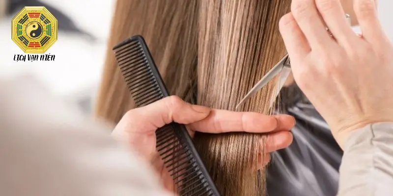Giới thiệu về xem ngay tốt cắt tóc là gì